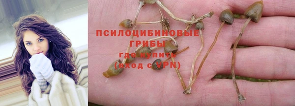 каннабис Алзамай
