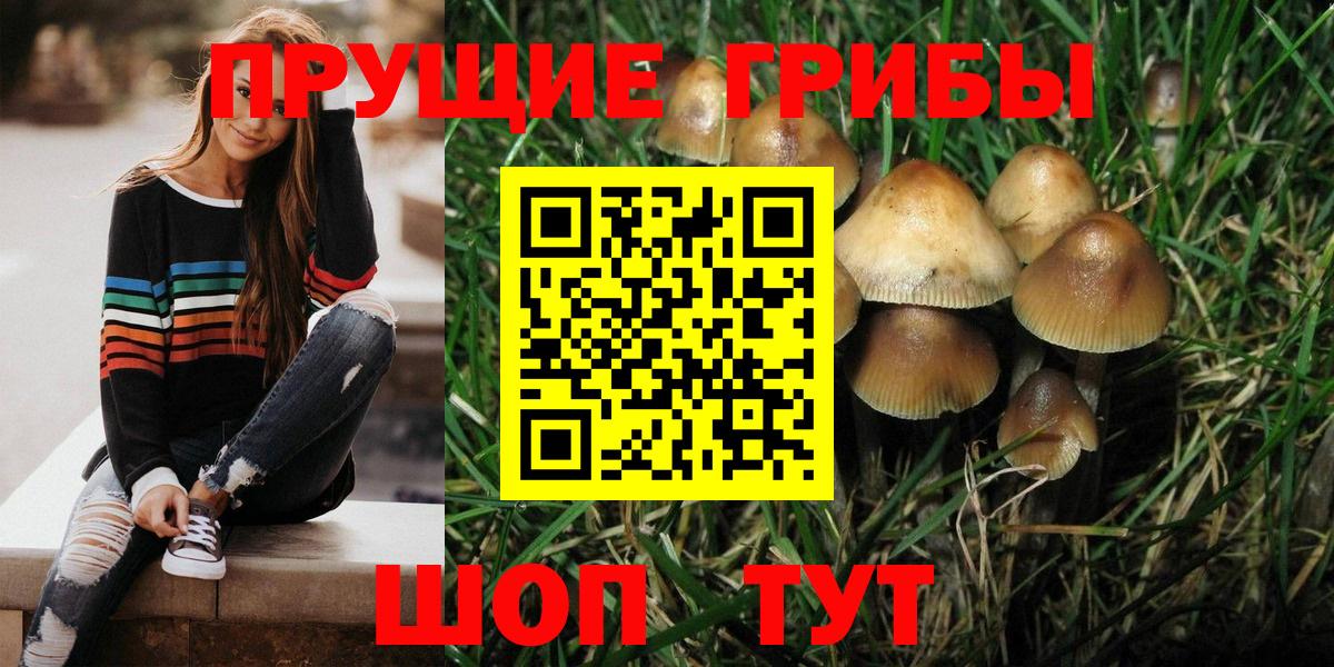 Галлюциногенные грибы GOLDEN TEACHER Киреевск